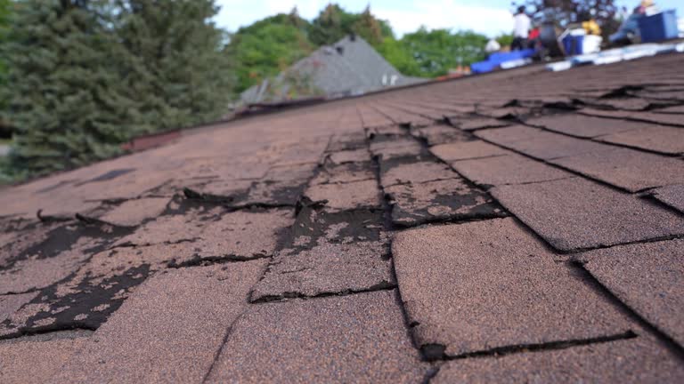 Best Metal Roofing Installation  in Huntington, VA